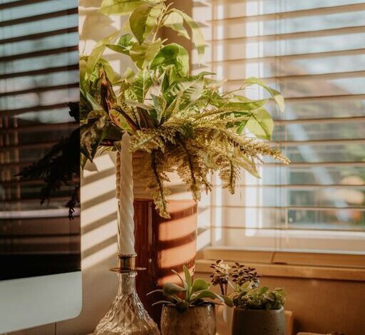 Tips for Creating a Cozy and Inviting Home Office Space