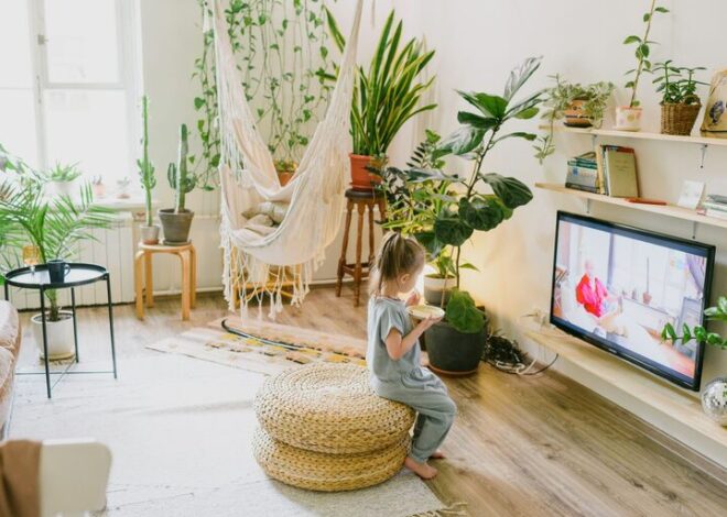 Tips for Creating a Cozy and Inviting Living Space on a Budget